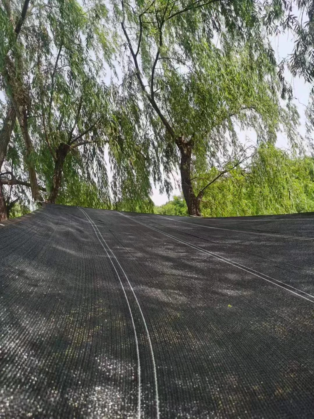 Black Shade Net Green House Net Agricultural Sun Shade Net Shade Net Greenhouse