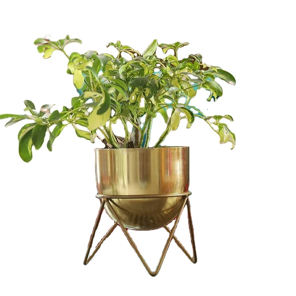Huge Demand On Top Quality Metal Planters And Pots Home Decorative Innovative Style Simple Look For Cozy Luxurious Rooms