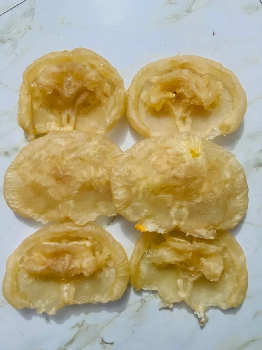 Premium Quality Cat Fish Maw Wholesale Organic Catfish Maw Big Size 50-250gm Dried Fish Maw in Bulk From Bangladesh