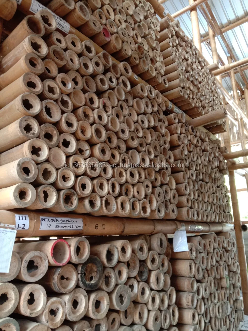 Bamboo Poles Natural Straight for Construction 8m (Non-Treated)