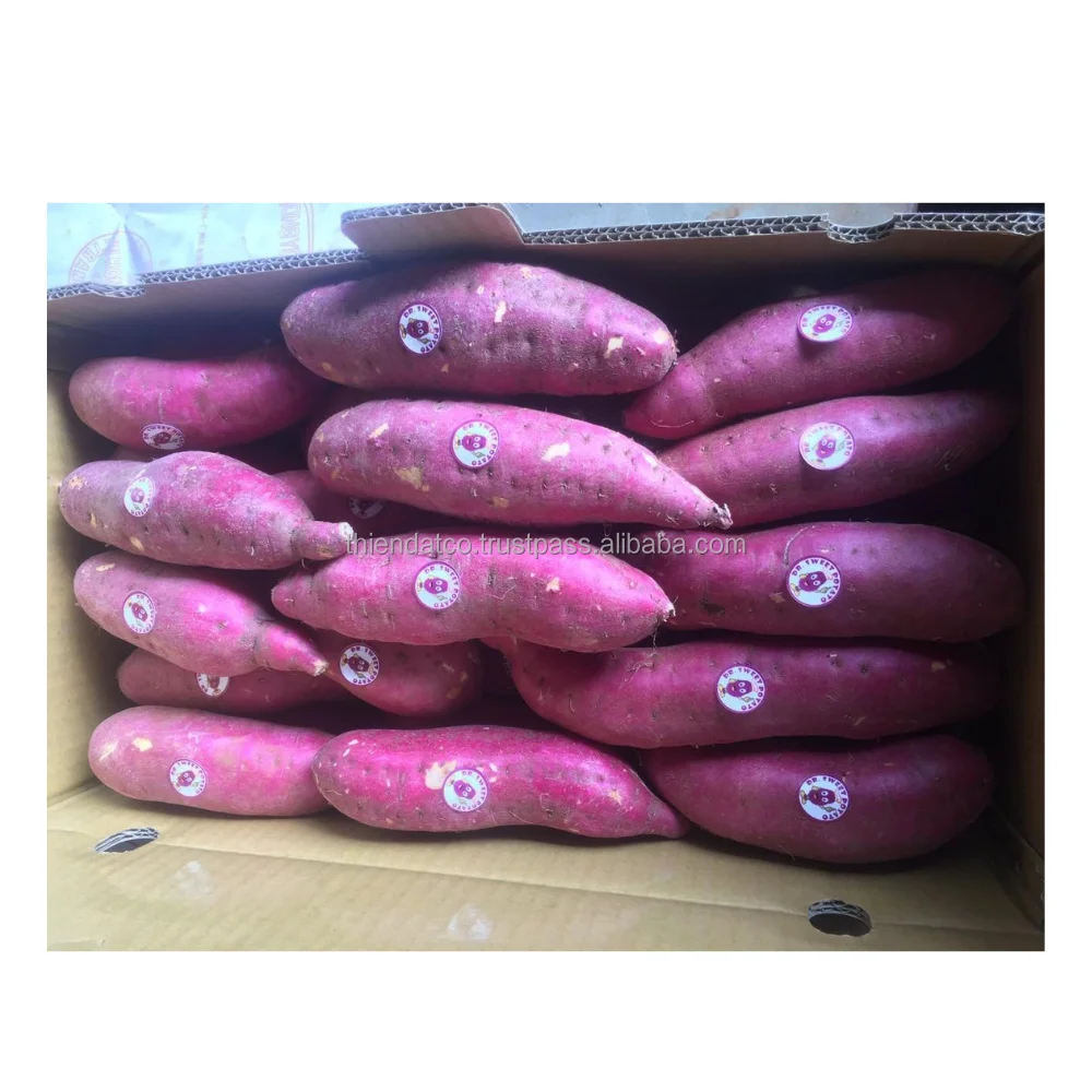 Оптовая продажа, вьетнамские органические мягкие овощи, Натуральный Свежий японский сладкий картофель с сетчатым мешком/картонная коробка для еды/готовки/пекарни