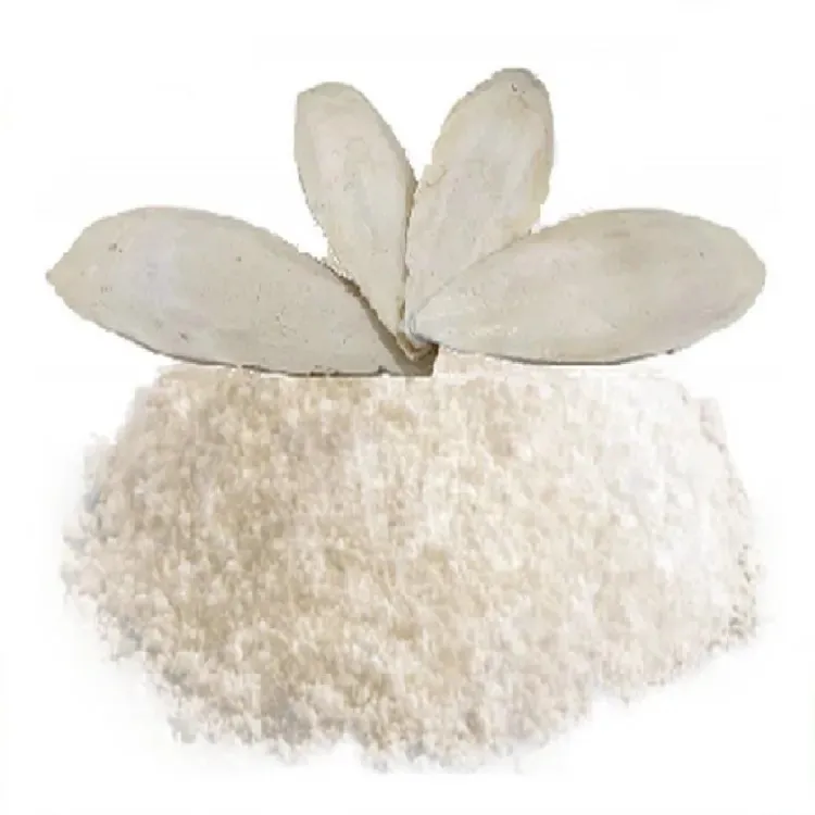 Top quality! Cuttlefish Bone For Birds Best Price Squid Bone From Vietnam