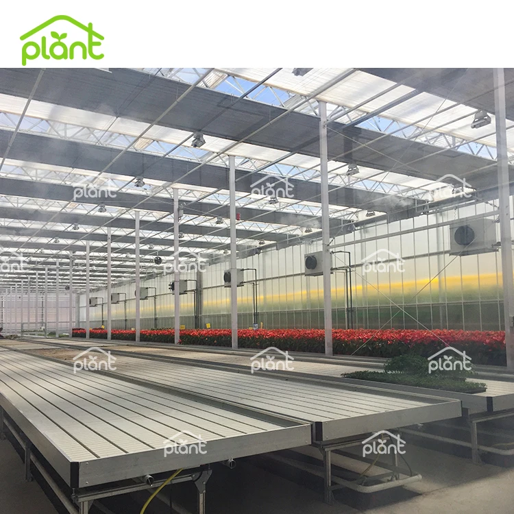 Greenhouse Ebb and Flow Adjustable Flood Rolling Tray Tables for Sale