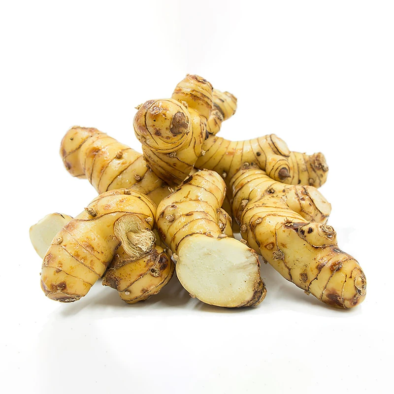 Wholesale Premium Quality Galangal Root Red Galangal For Sale Dried Galangal Root