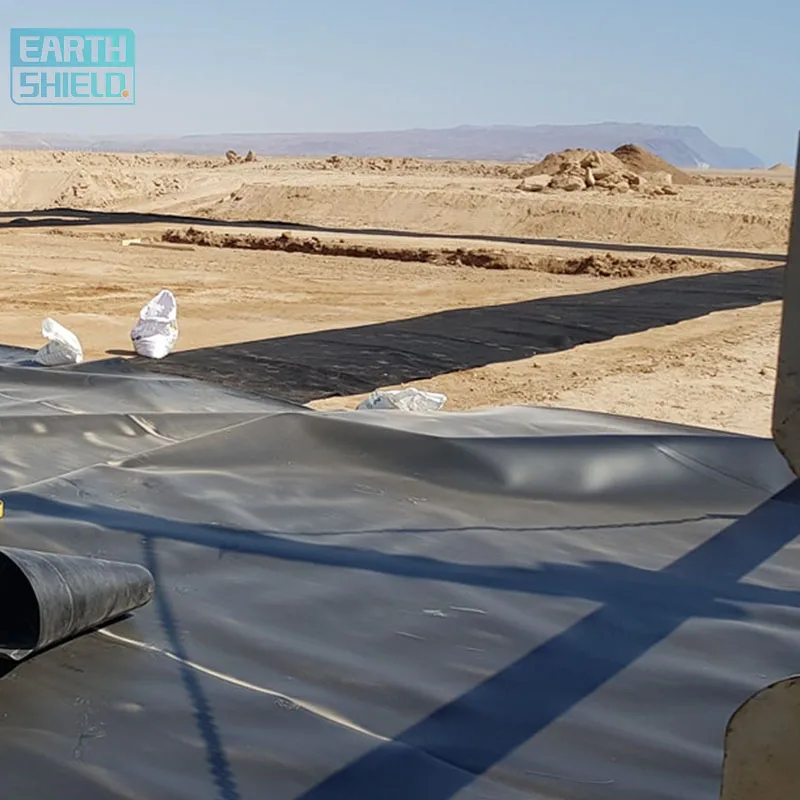 Geomenbrana Mine Tailing Geomembrane in Tanzania Geomembrane HDPE