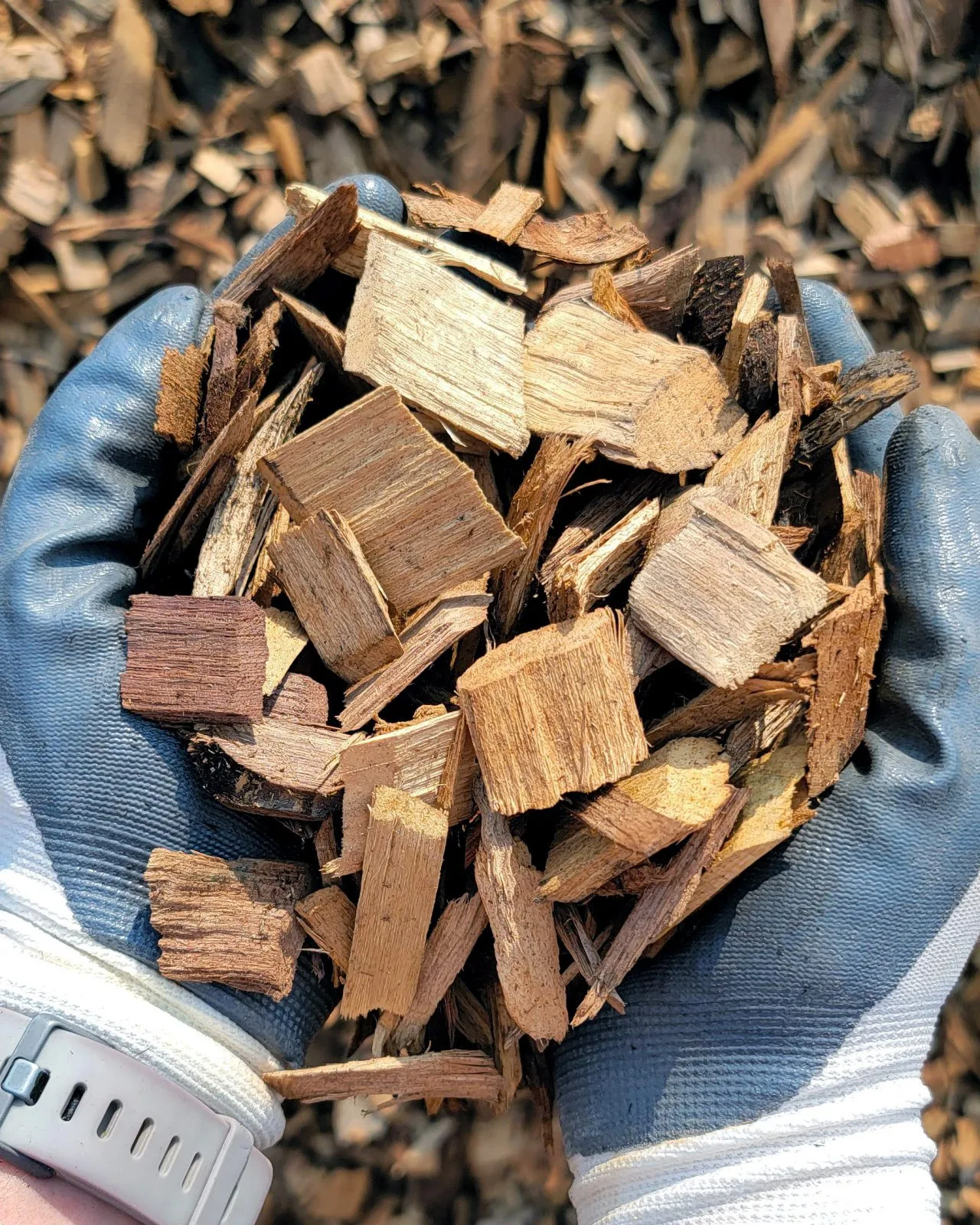 Vietnam Factory Supply wood chips cheap price  for BBQ