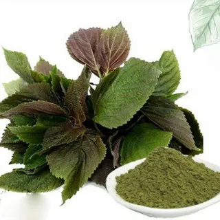 hot sale High Quality Perilla Powder Products Hot Selling Powder Extraction in factory Vietnam