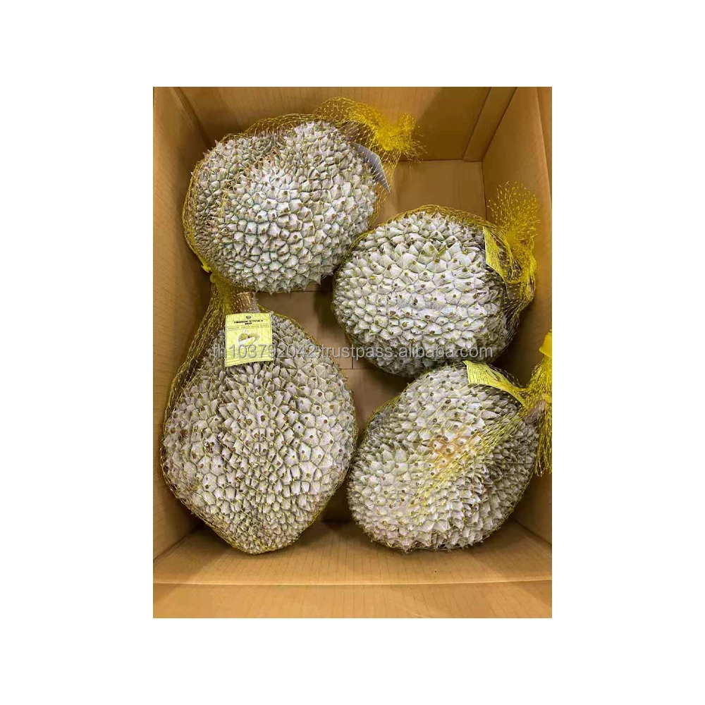 Гигиенический замороженный дуриан из Таиланда
