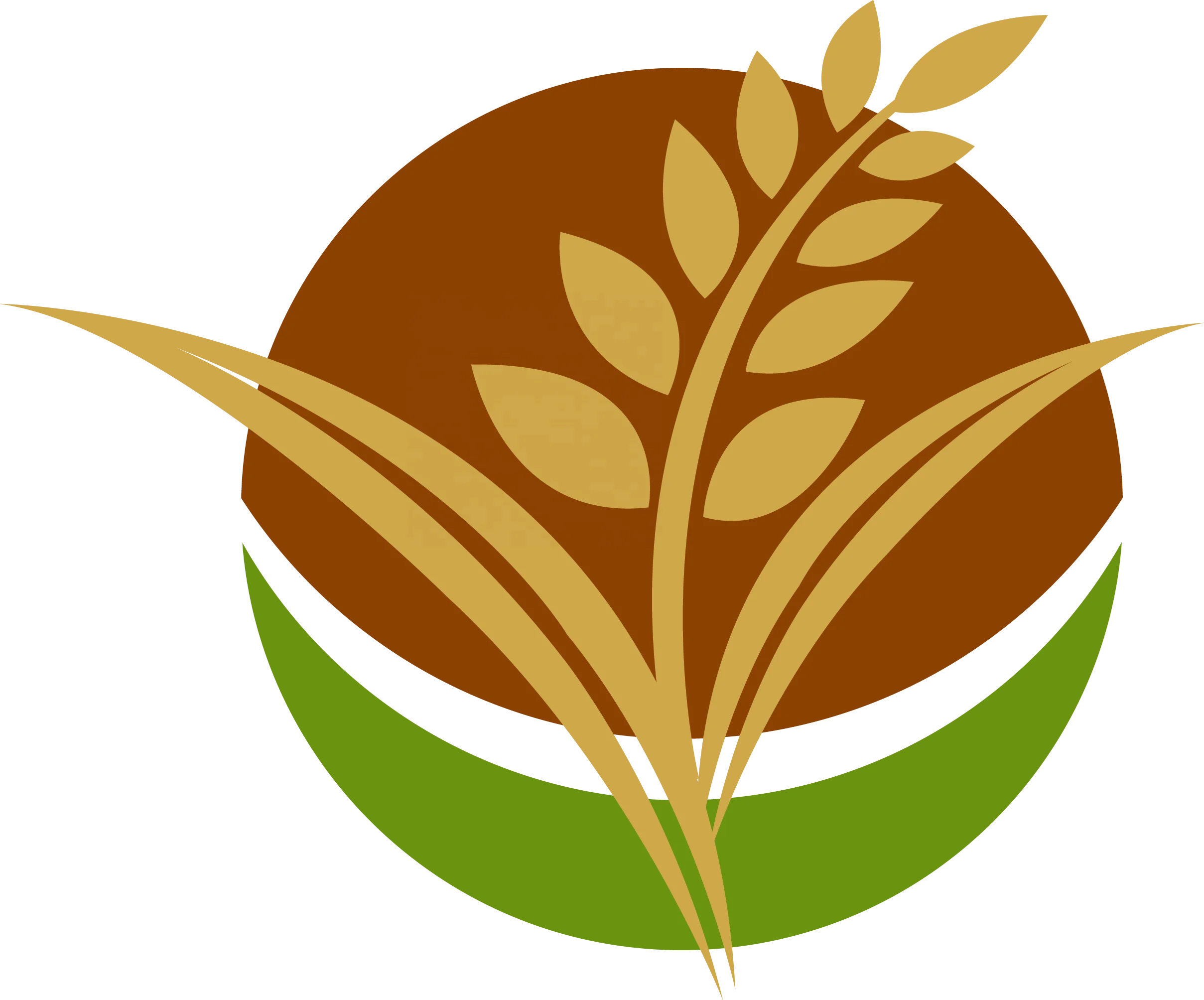 Toasted Rice Flake Food Ingredient