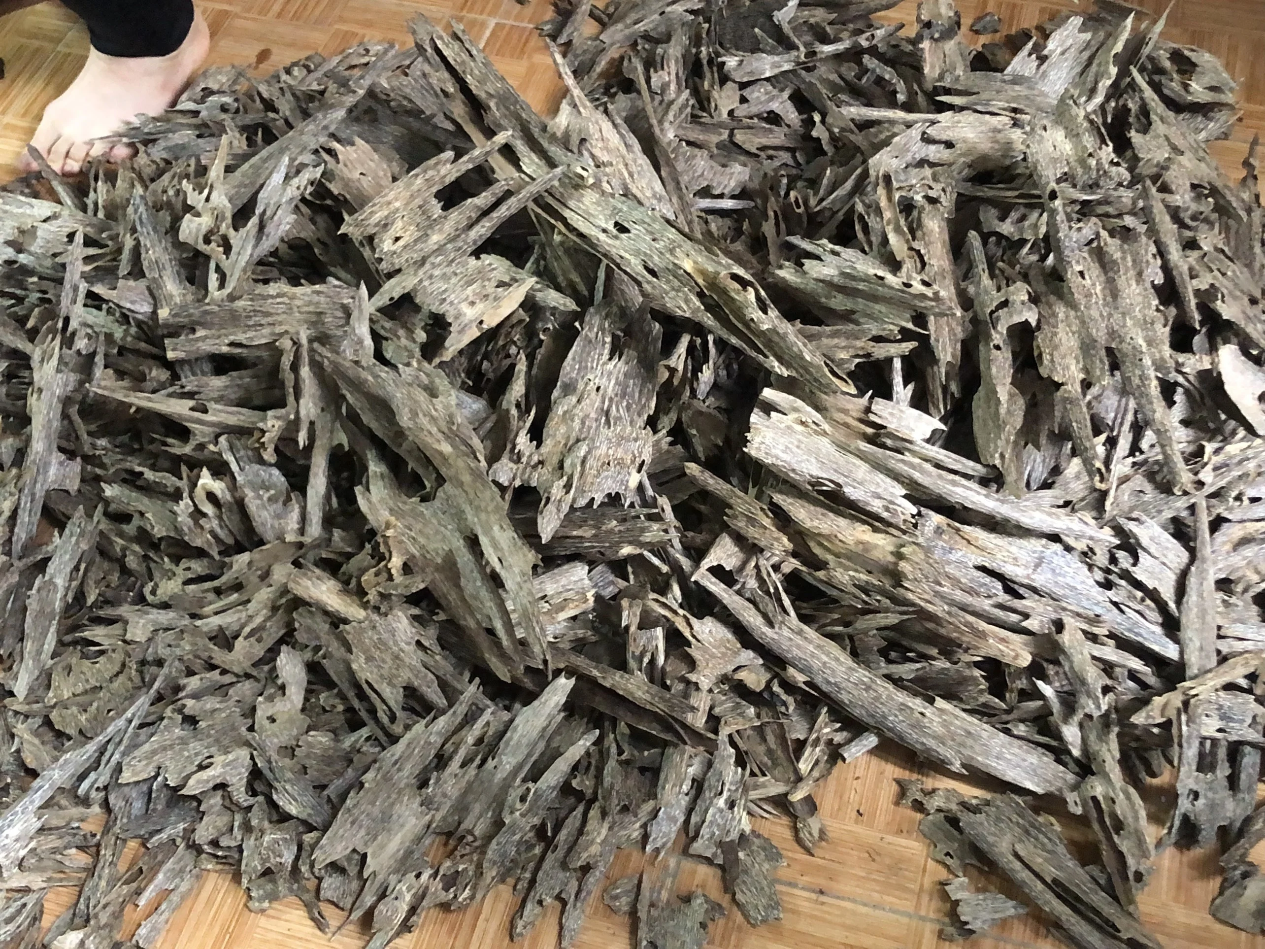 Tram Tue Oud Oudy Wood Chips creating by ant from Vietnam for making Oudh Incense