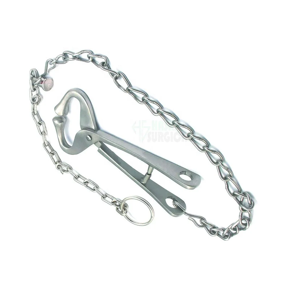 Bull Lead   stainless steel 7 5   Long with chain   13.5  Long   by hasni surgical