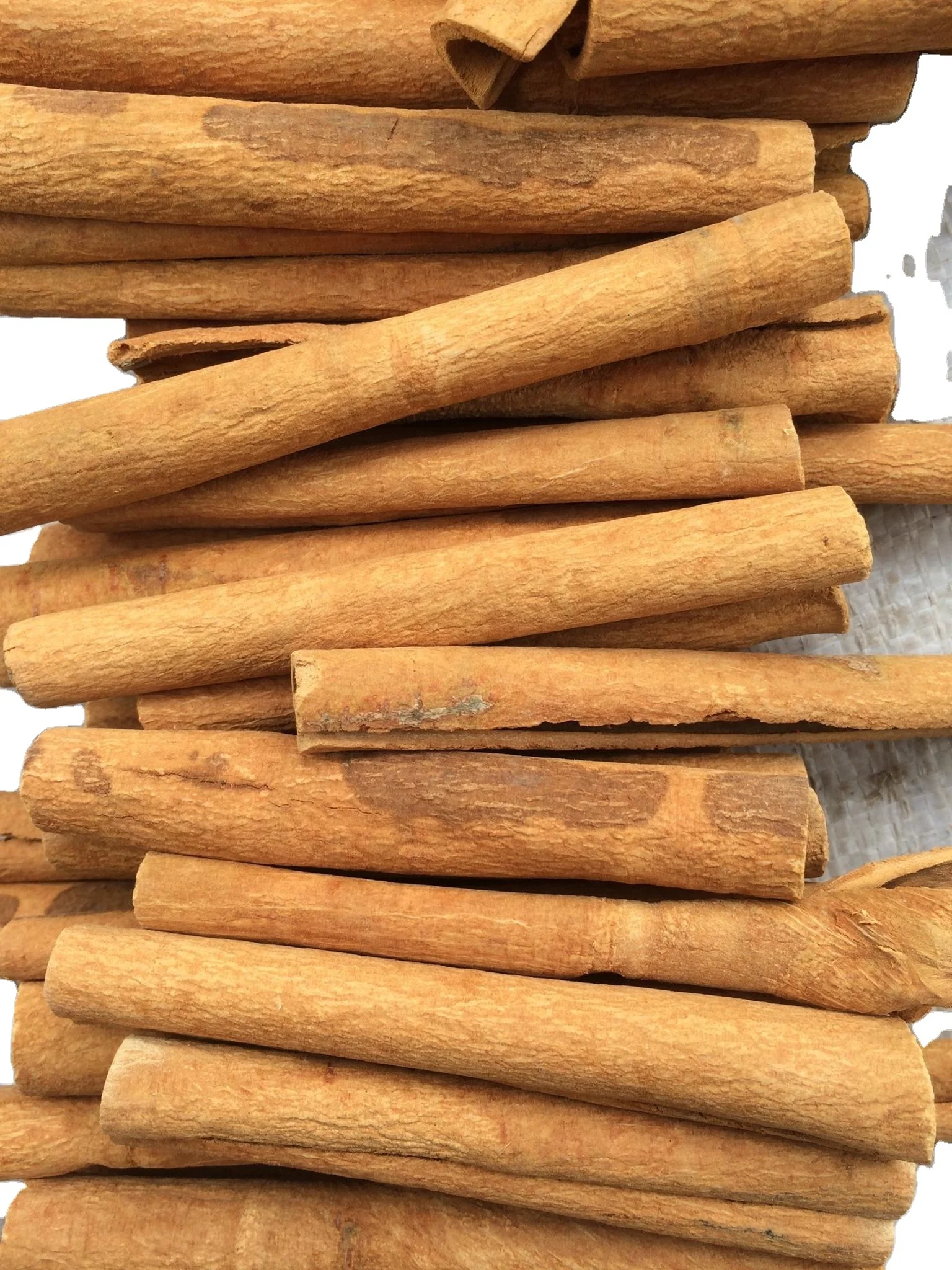 BEST PRICE FACTORY VIETNAM FINGER/ CIGAR/ STICK CASSIA/ CINNAMON SPICES AND HERBS