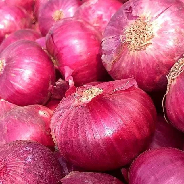 Лидер продаж, свежий лук высокого качества, новый урожай красного лука по оптовой цене из Индии