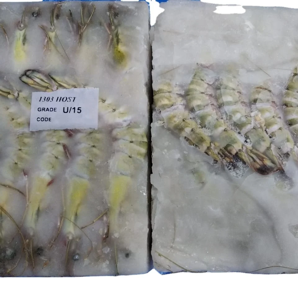 Frozen Sea Tiger Head on Shell on Shrimp Standard Quality