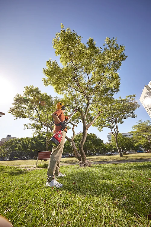 MORI professional 4.2M strong power pole chain saw