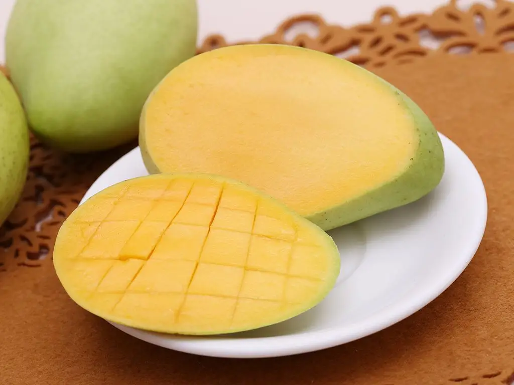 Viet Nam Mango High Quality Premium Cat Chu Mango from Vietnam 100% Natural Sweet OEM Private Label