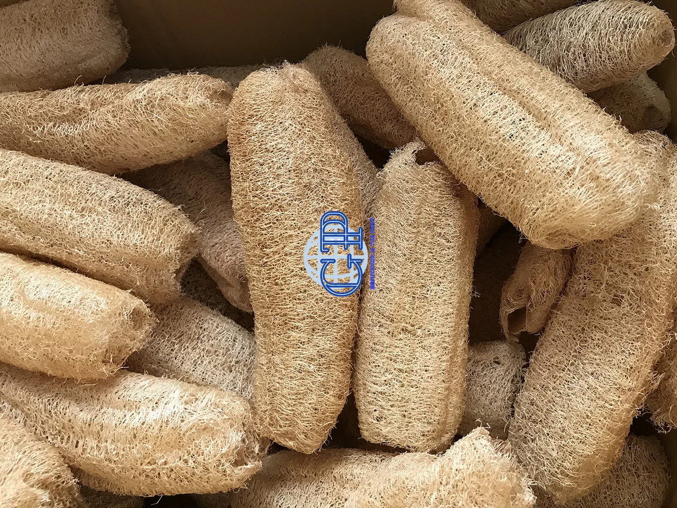 Wholesale Loofah Sponges for body 15- 20cm- 100% Natural Organic- Dried Luffa Scrub Sponge/Compressed Loofah- Made in VietNam