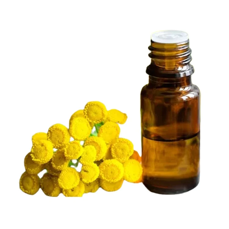 Bulk Exporter of Superb Quality 100% Pure and Natural Customized Blue Tansy Essential Oil from India