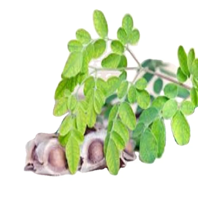 native potato starch used as thickener and stabilizer use soups canned foods noodles cake snacks meat foods