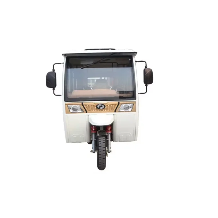 Manufacturer price electric trike Enclosed 5 doors 3 wheel delivery car with low price