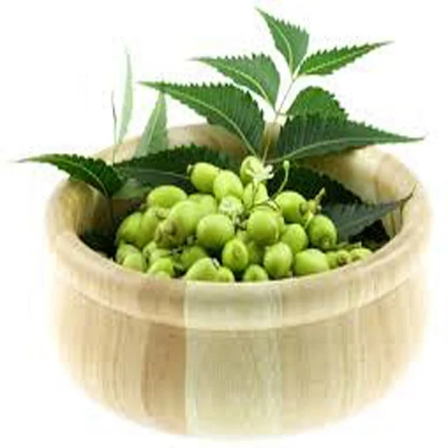 OMRI Certified Neem Seed Oil from India with high effect on plants used as pesticides Neem Seed Oil with lowest cost