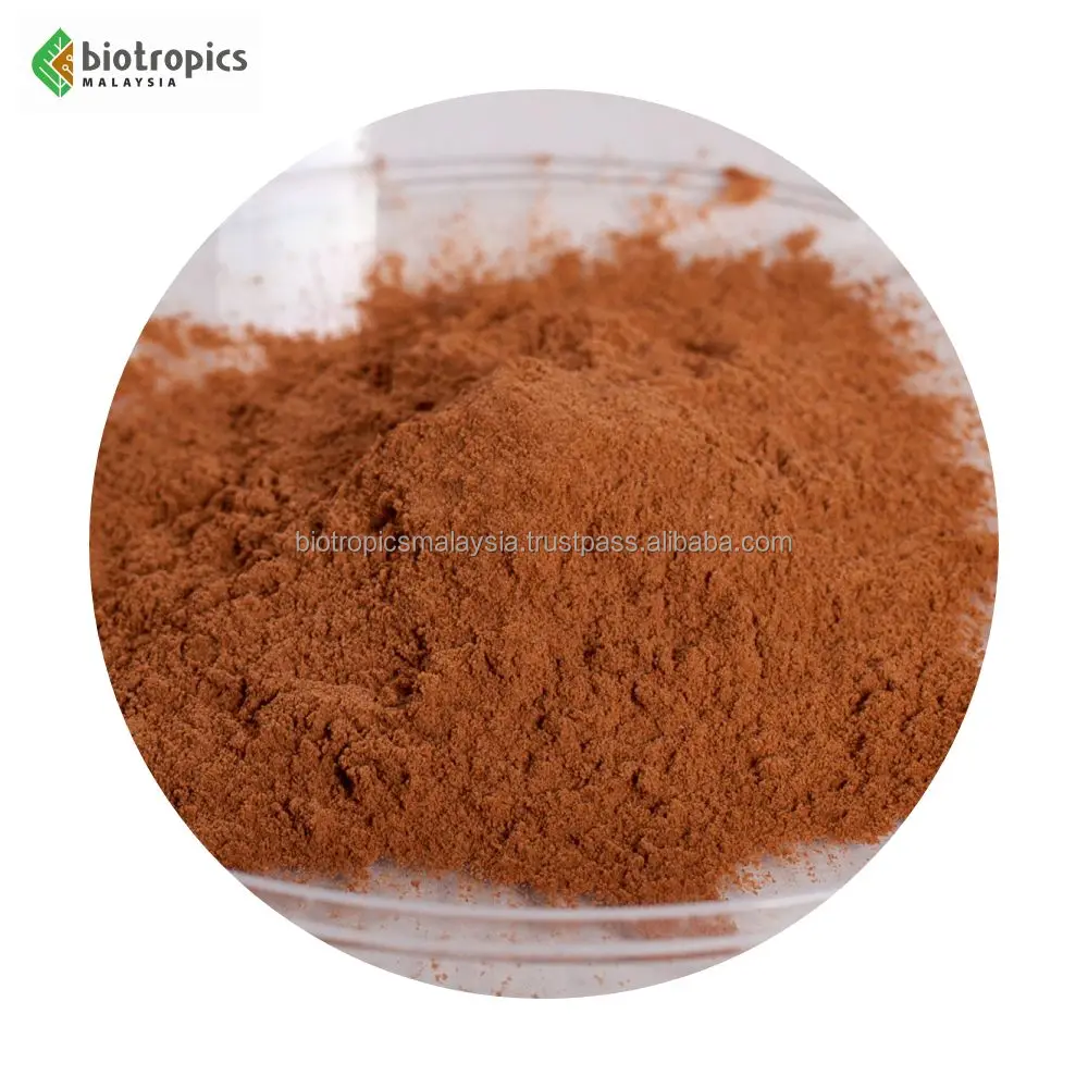 Malaysia Herbal Extract Ingredient Kesum (Polygonum minus/Persicaria minor) In Powder Form Leaf Part High Antioxidant