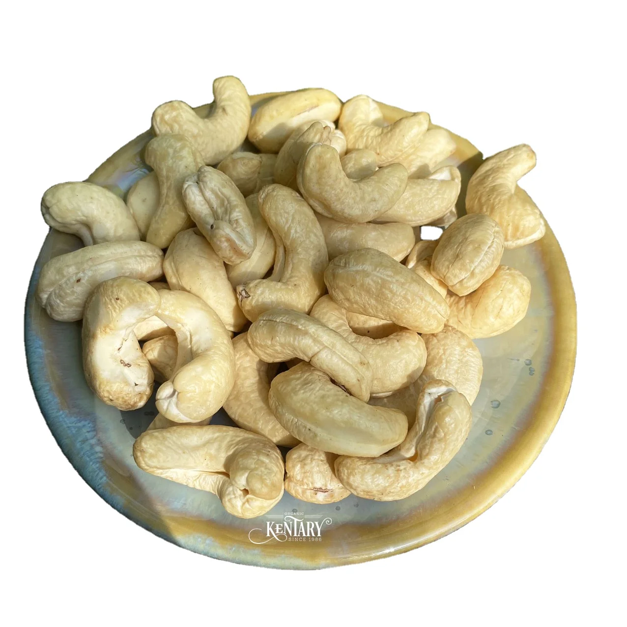Bulk Vietnam Whole Cashew Kernel W240 Hight Quality Best Price Farm in Vietnam 100% Natural For Wholesale