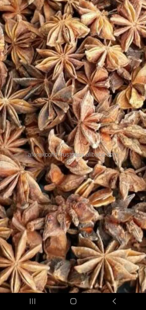 Spices & Herbs Products Natural Brown Dried Style Raw Processing Whole Anise Standard Quality New Spring Crop 2022 From Vietnam