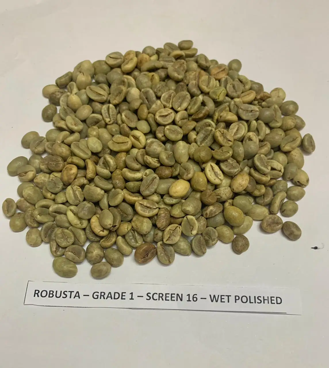 [FREE SAMPLE] HIGH QUALITY ROBUSTA GREEN COFFEE BEANS ARABICA GREEN COFFEE BEANS RAW COFFEE BEANS FROM VIETNAM +84 363 565 928