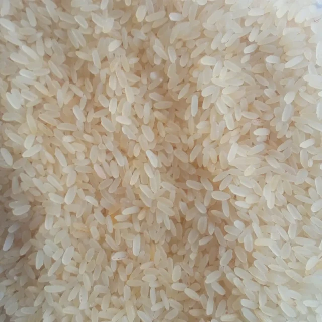 Top Quality Non Basmati Short Grain Swarna Rice for Export from India