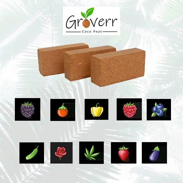 Nature Compressed Growing Medium Cocopeat for Plants Premium Coco Coir Brick Wholesale Coco Peat Plant Growing Hydroponic