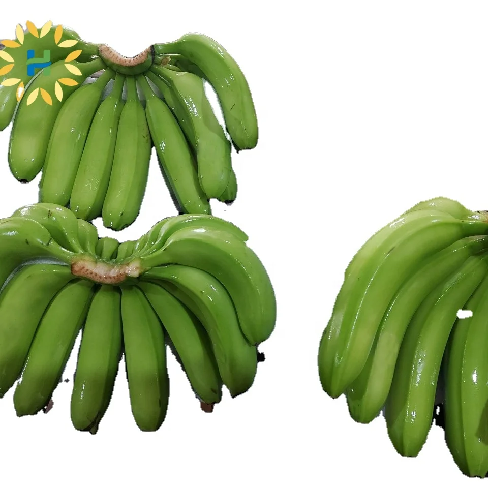WHOLESALE FRESH CAVENDISH BANANA WITH ATTRACTIVE PRICE