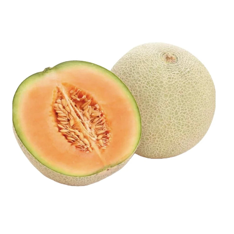 Свежая дыня, апельсиновое мясо, заводская цена, хорошее качество от ведущего экспортера Вьетнама, разумная цена, готовая к экспорту