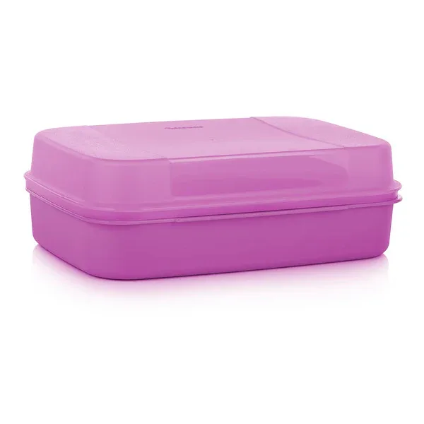 New Design Slim Container Plastic Lunch Box Food Containers Plastic Lunch Box High Quality For Sale
