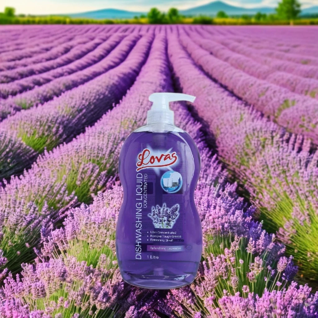 wholesale OEM friendly dishwashing liquid for home restaurant soap kitchen laundry detergent