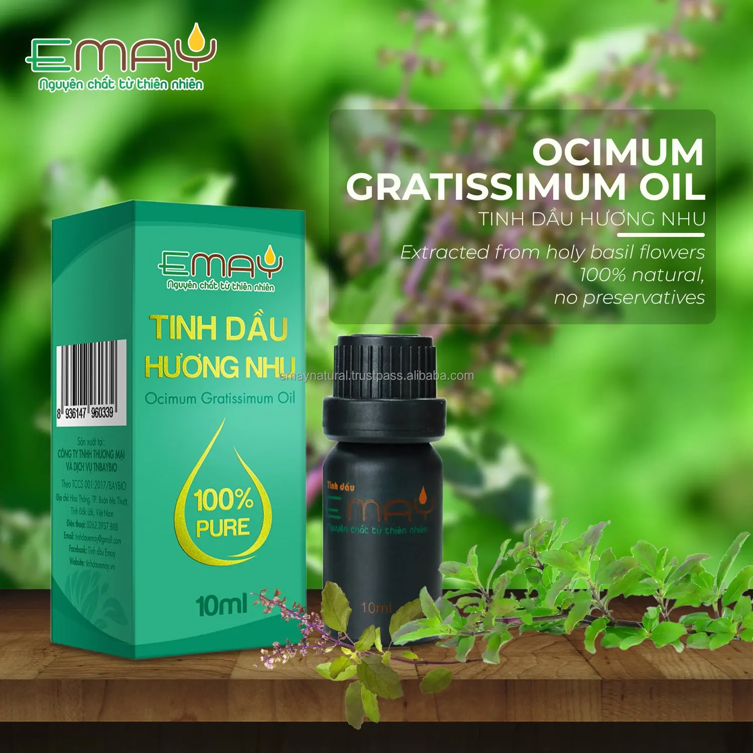 Emay Natural Steam Essential Oil Extracted From Holy Basil Set 10 50 100 ml Bottled Aromatherapy Diffuser Oil Accept OEM Order