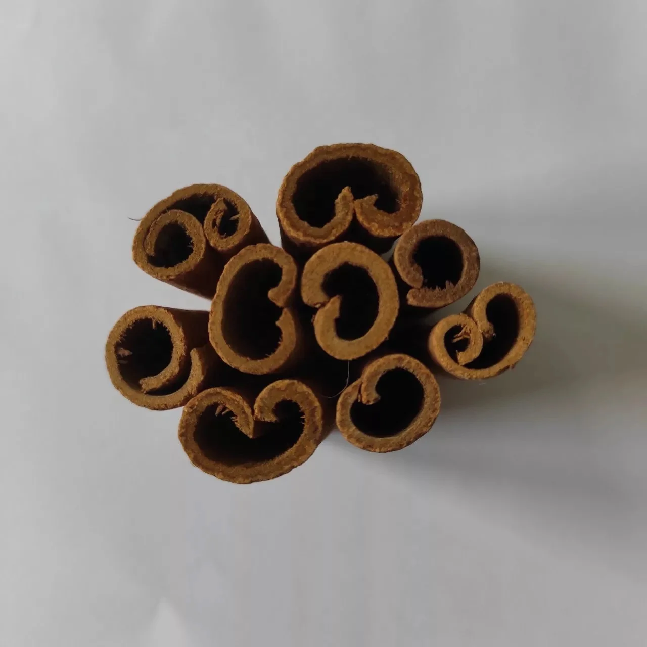 High Quality pure Cinnamon natural cinnamon best price in Vietnam