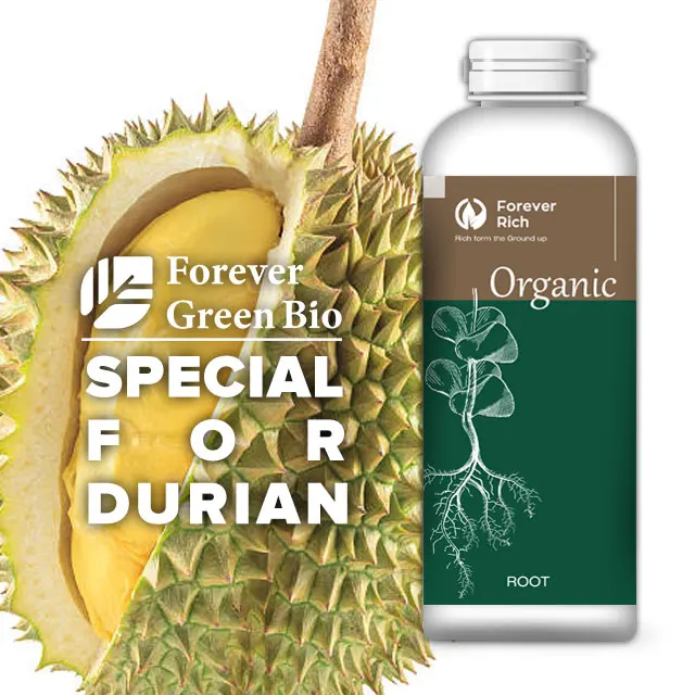 Agricultural fertilizer Organic Root plant nutrient for Durian Trees compound fertilizer