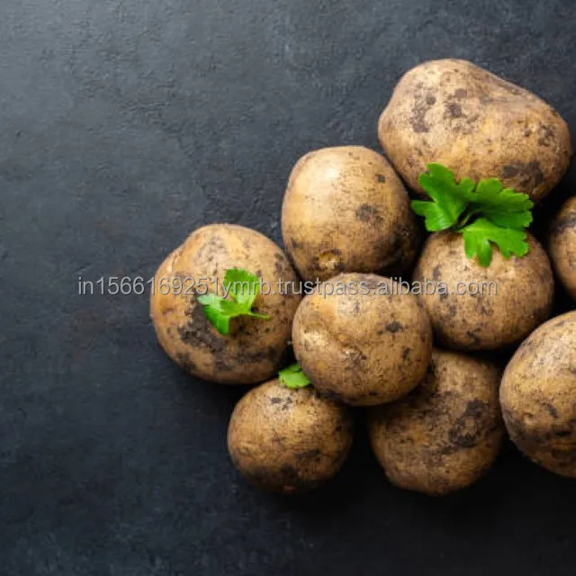 Best Fresh potato price per ton For Wholesale Buy High quality 100% Organic