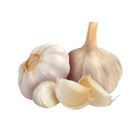 New Crop Chinese Fresh Frozen Peeled Garlic Vacuum Packed Wholesale Price Fresh Garlic for sale