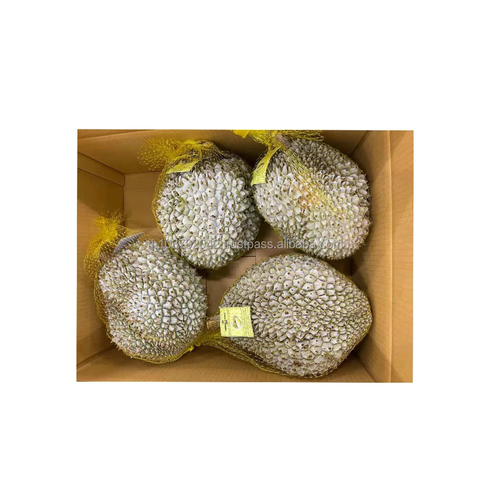 100% Fresh Durian Hygenic Frozen Durian Premier