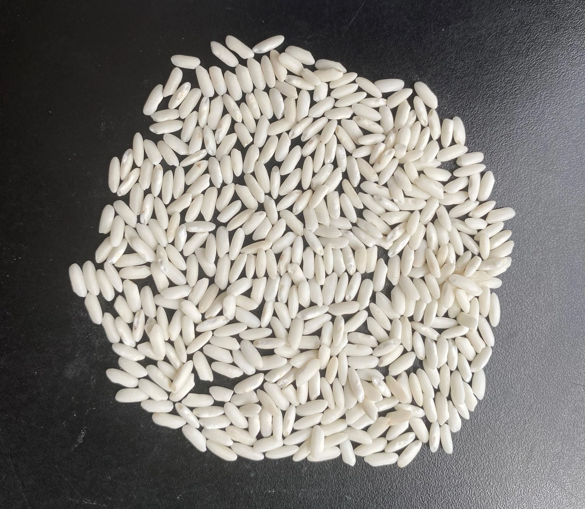 Glutinous/Sticky/Sweet Rice - Cheap Price From South Mekong Rice Miller/ Glutinous Rice Vietnam- WA84786436556