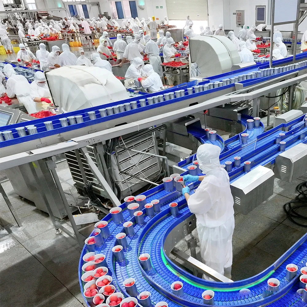 High Quality 100% Made In Italy Peeled Tomatoes 400g Food Peeled Tomatoes In Canned