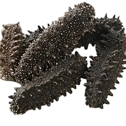 DRIED SEA CUCUMBER/Wholesale high protein low calorie DRIED SEA CUCUMBER