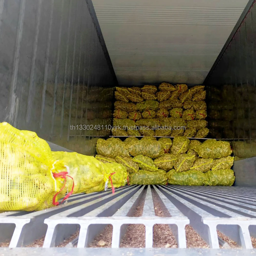 Best Export Quality Thailand Fresh Matured Gingers