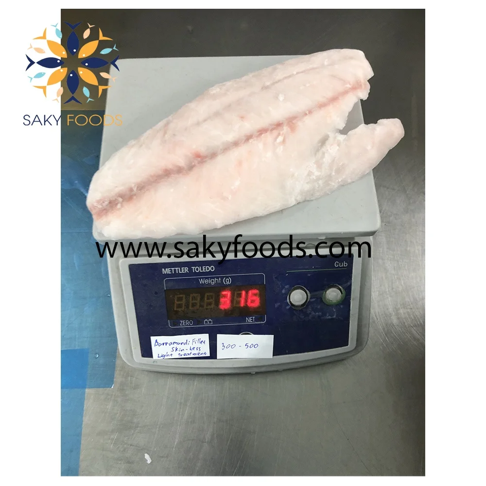 high quality frozen barramundi fish for exported to US