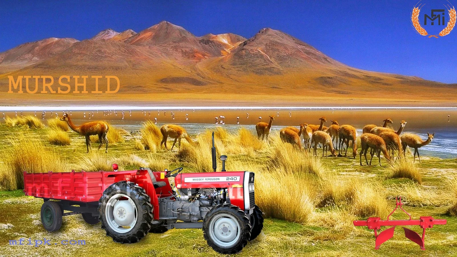 Massey Ferguson Tractors 240 Available for Sale