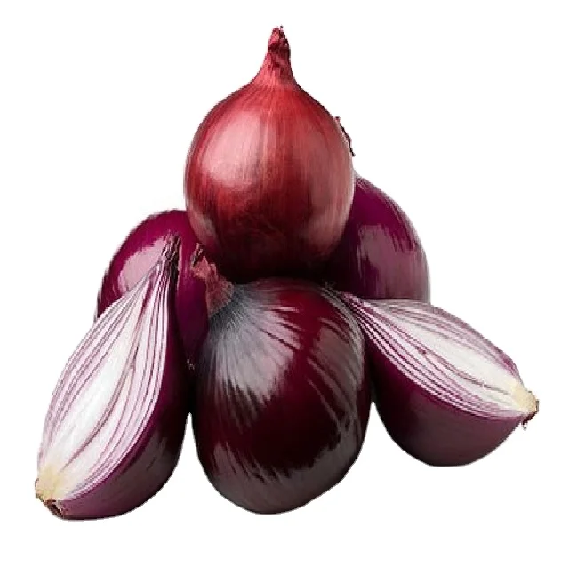 Best Selling And High Quality Wonderful Delicious Fresh Vegetable Red Onion at Wholesale Prices for Worldwide Export From India