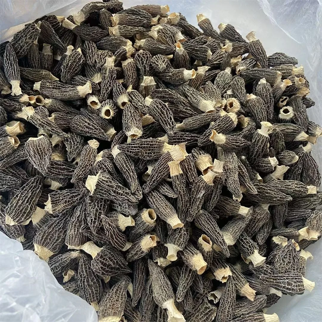 China preferential morels high quality cultivated wild morels organic dried morels