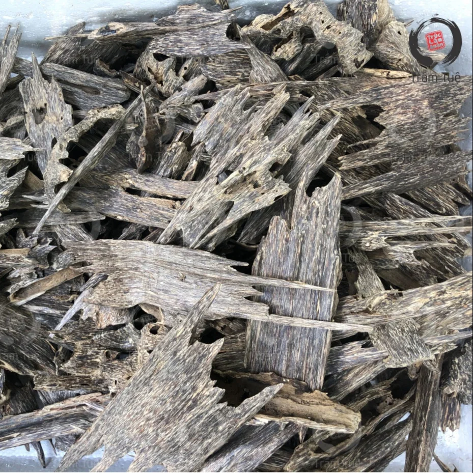 Tram Tue Oud Oudy Wood Chips creating by ant from Vietnam for making Oudh Incense